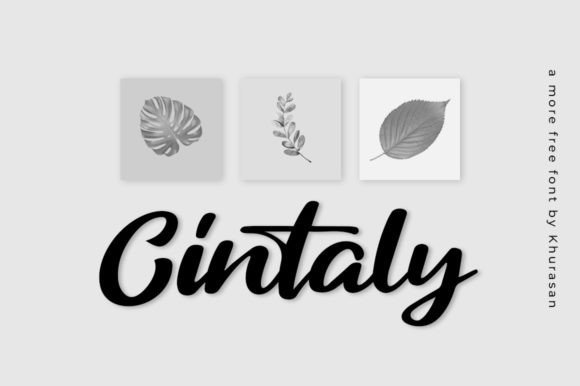 Cintaly: A Versatile Font for Creative Branding