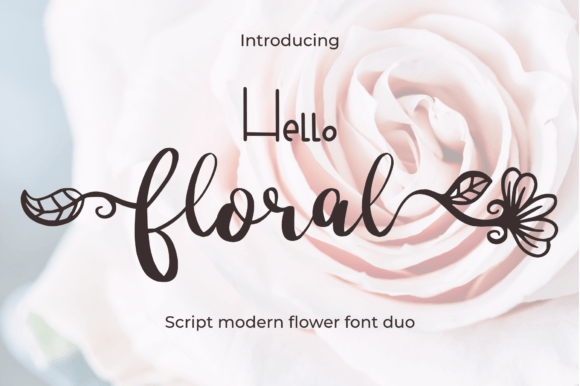 Hello Floral: A Script Font for Editorial Elegance